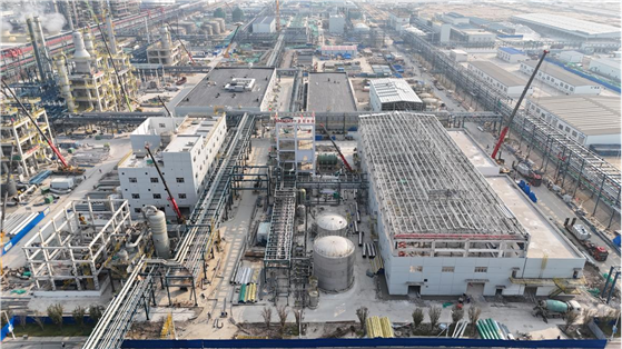 公司多個工程項(xiàng)目取得新進(jìn)展⑦ | 大干四季度 闊步新征程